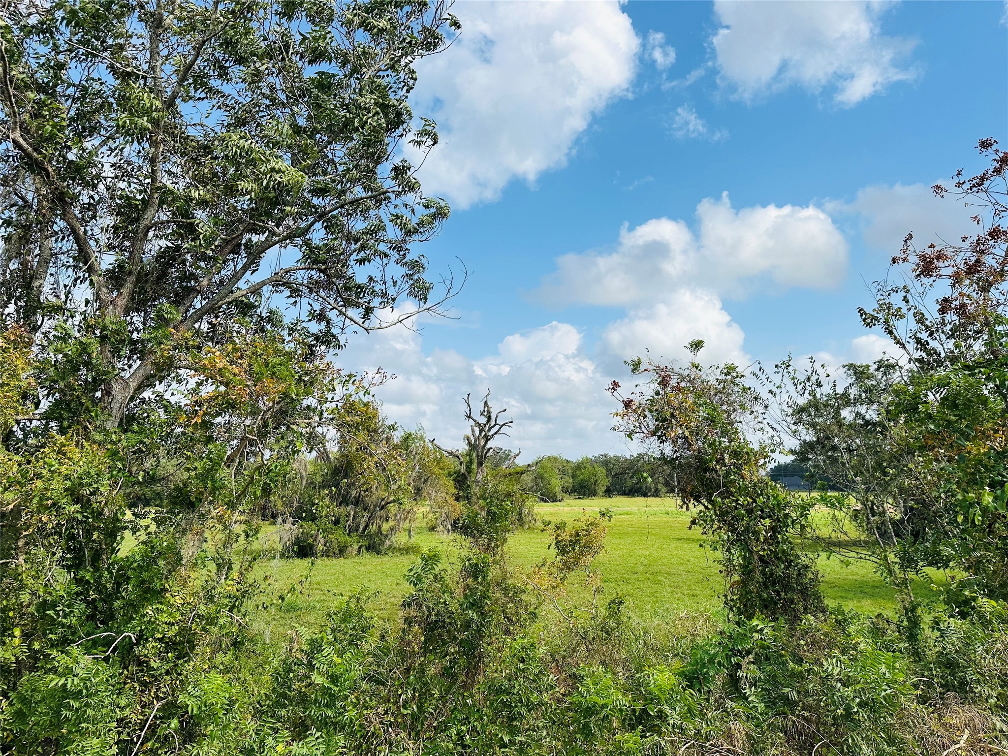 274 Pony Trail Angleton, TX 77515 - Photo 4 of 18