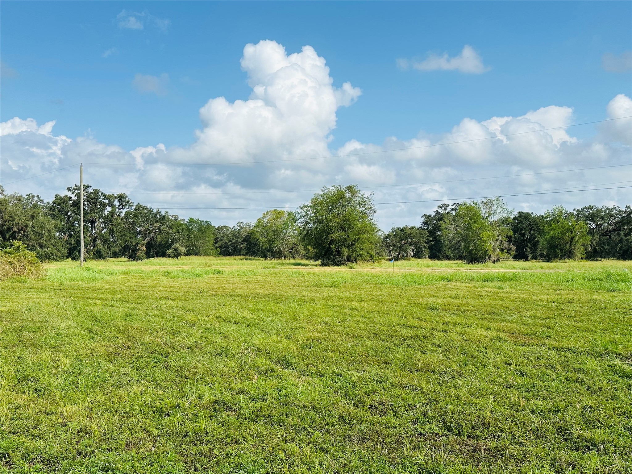 274 Pony Trail Angleton, TX 77515 - Photo 5 of 18