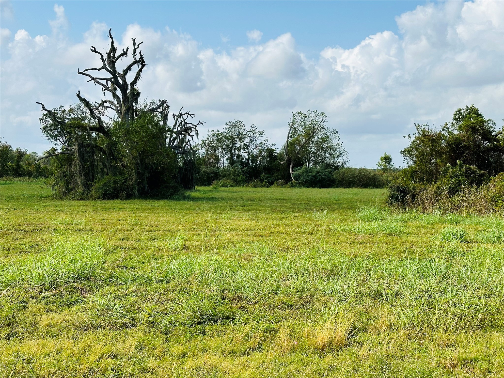 274 Pony Trail Angleton, TX 77515 - Photo 6 of 18
