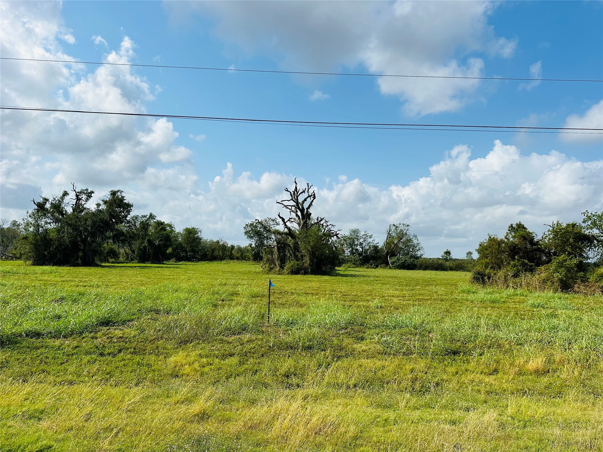 274 Pony Trail Angleton, TX 77515 - Photo 7 of 18