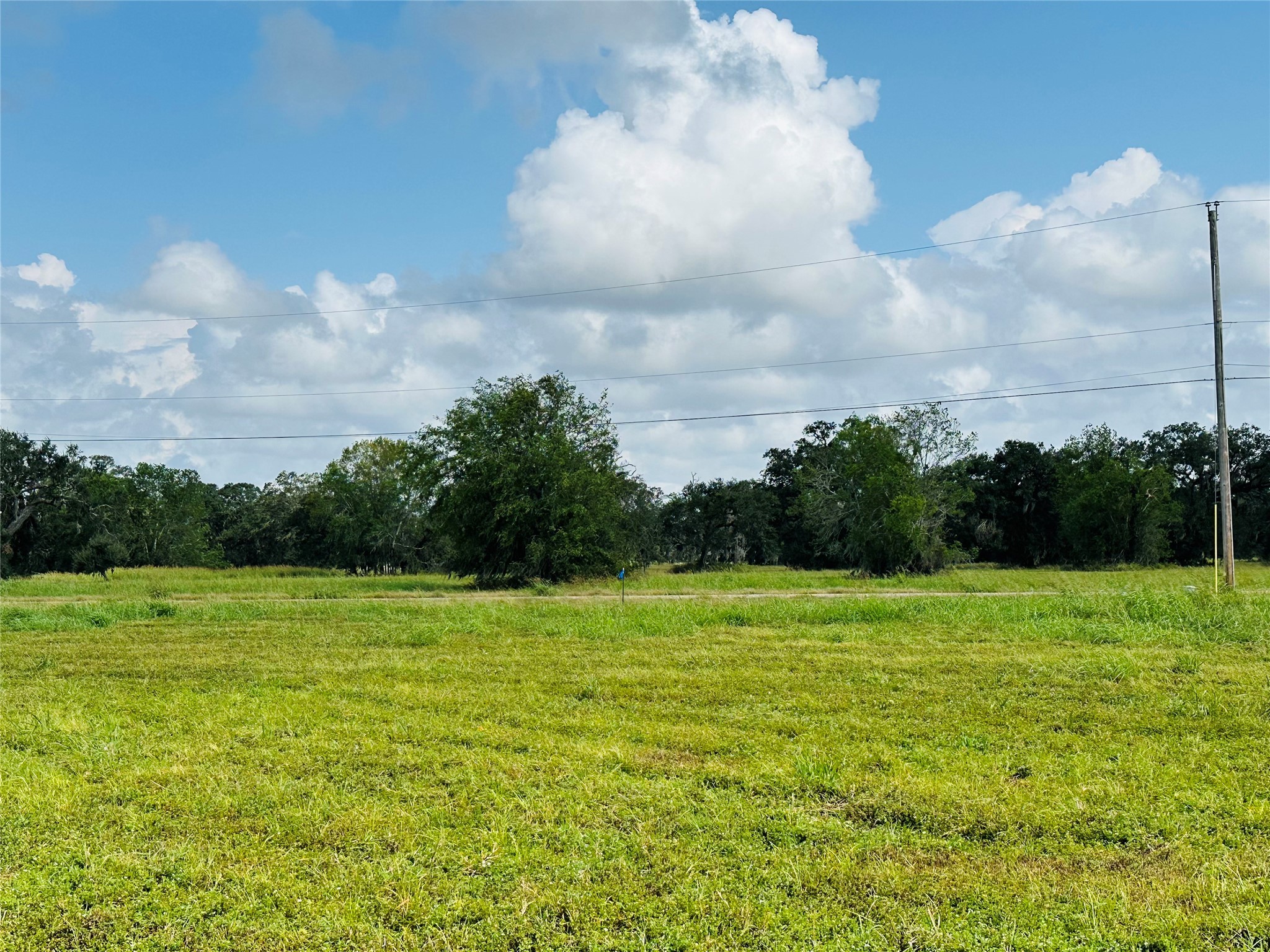 274 Pony Trail Angleton, TX 77515 - Photo 8 of 18