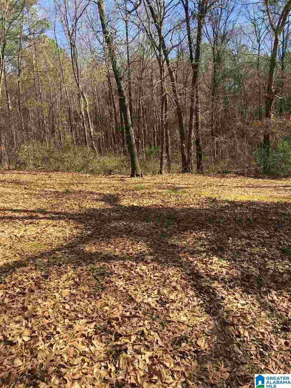 123 Weaver Lane Weaver, AL 36277 - Photo 23 of 25