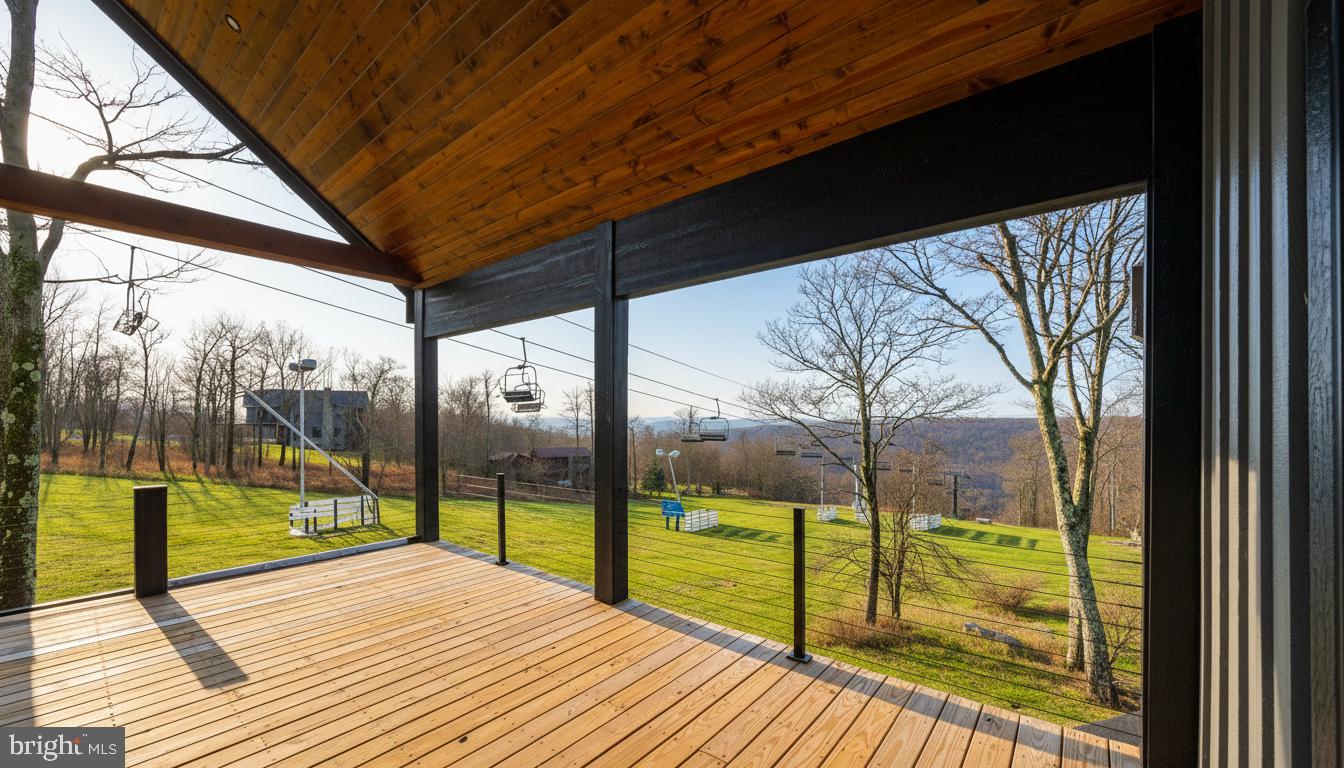 353 Lower Camp Road McHenry, MD 21541 - Photo 14 of 67 a view of a city from a balcony