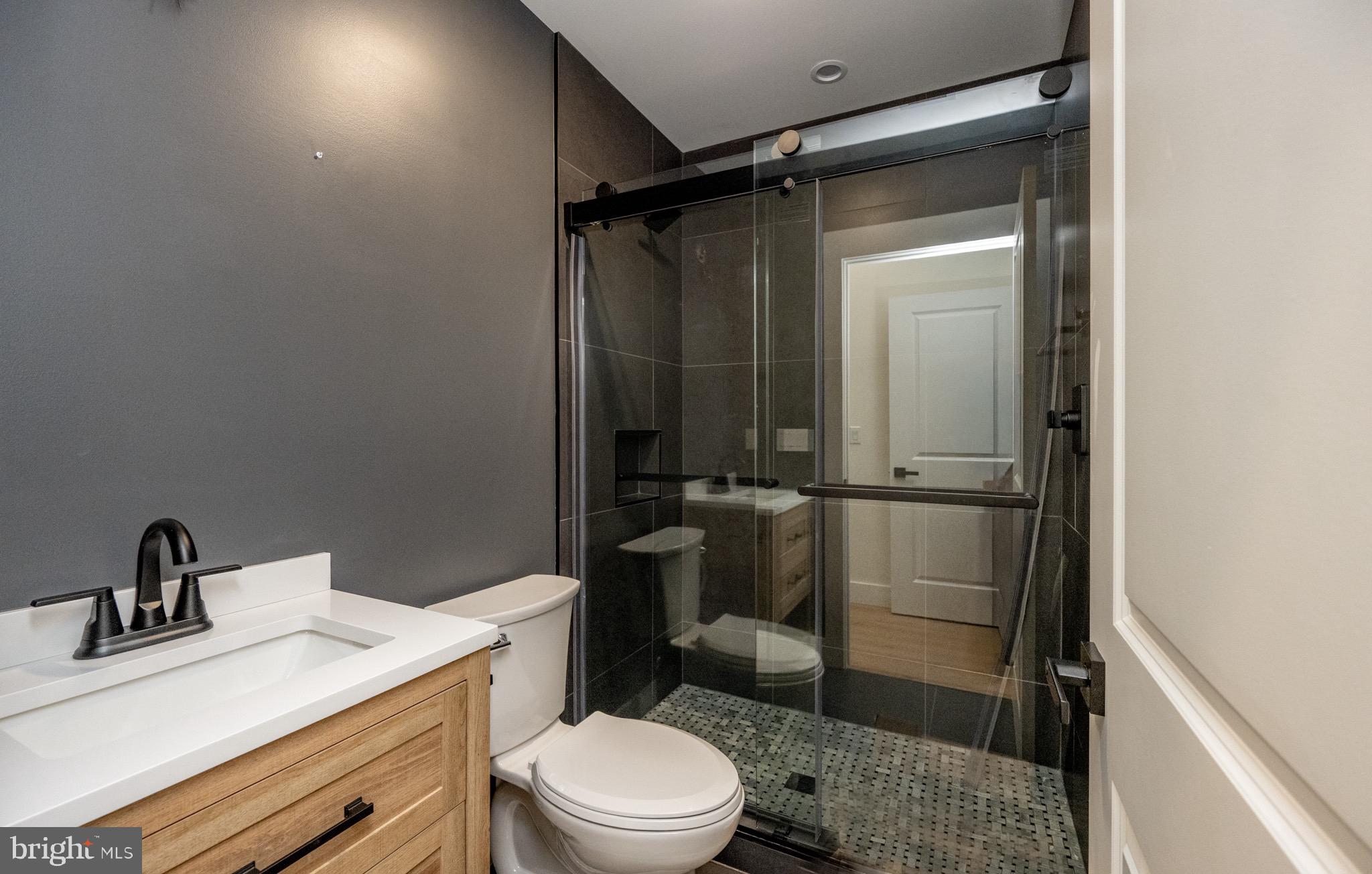 353 Lower Camp Road McHenry, MD 21541 - Photo 38 of 67 a bathroom with a sink a toilet and shower