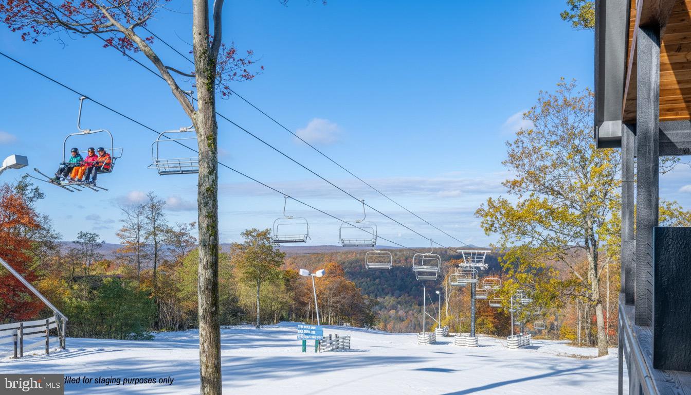 353 Lower Camp Road McHenry, MD 21541 - Photo 45 of 67 True Ski-in/Ski-out!