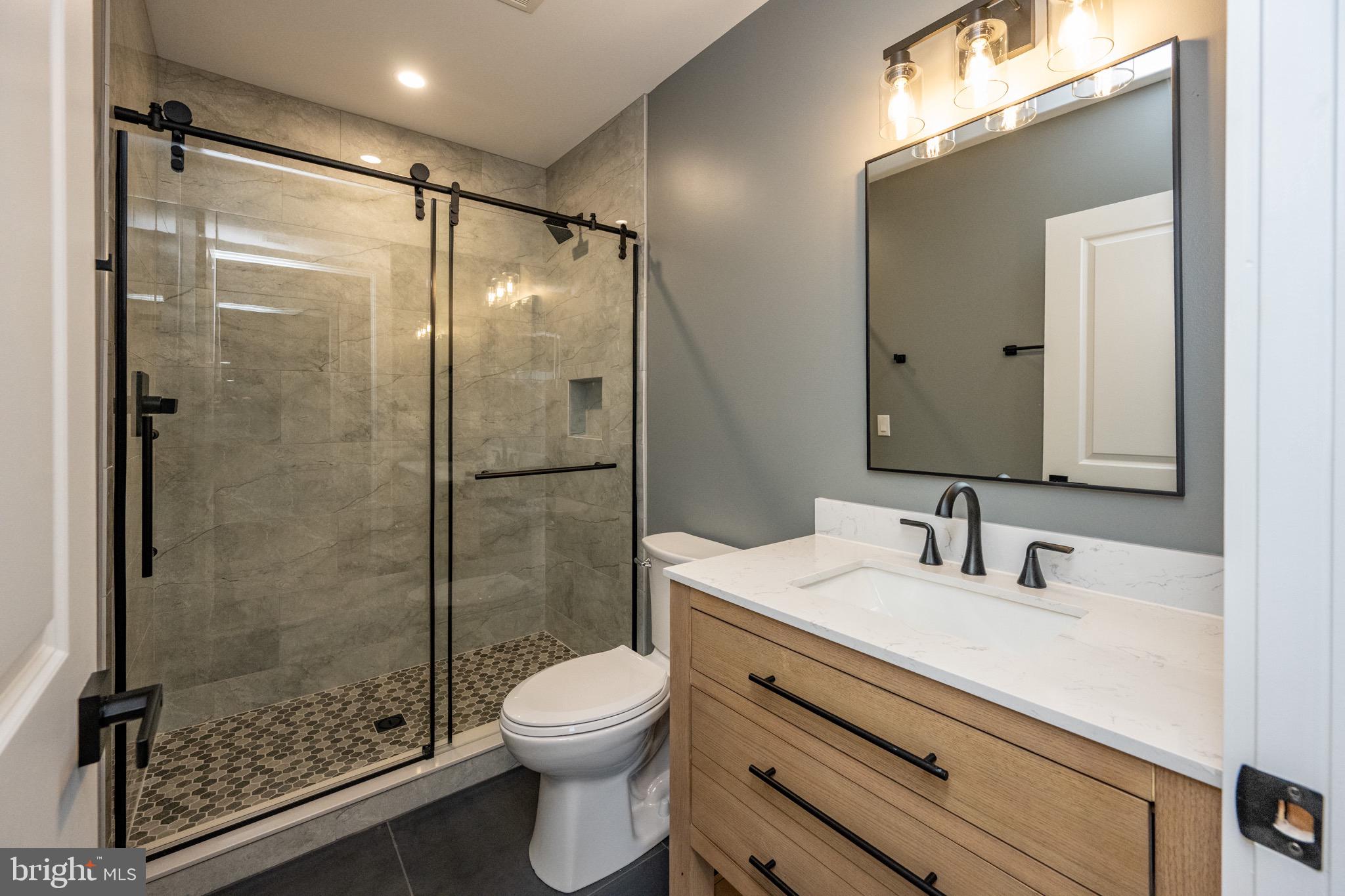 353 Lower Camp Road McHenry, MD 21541 - Photo 49 of 67 a bathroom with a shower sink vanity mirror and toilet