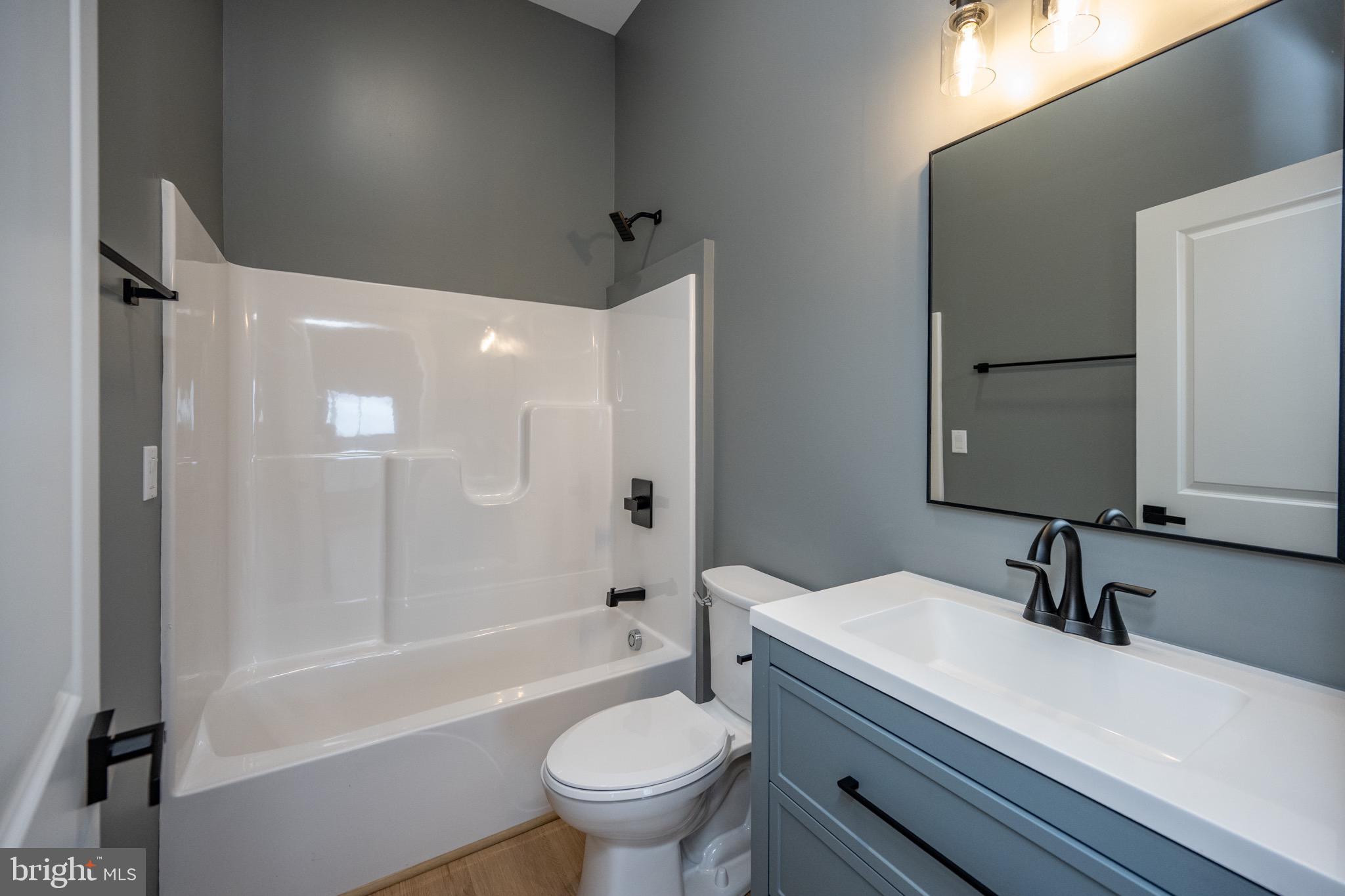 353 Lower Camp Road McHenry, MD 21541 - Photo 62 of 67 a bathroom with a sink a toilet and a mirror