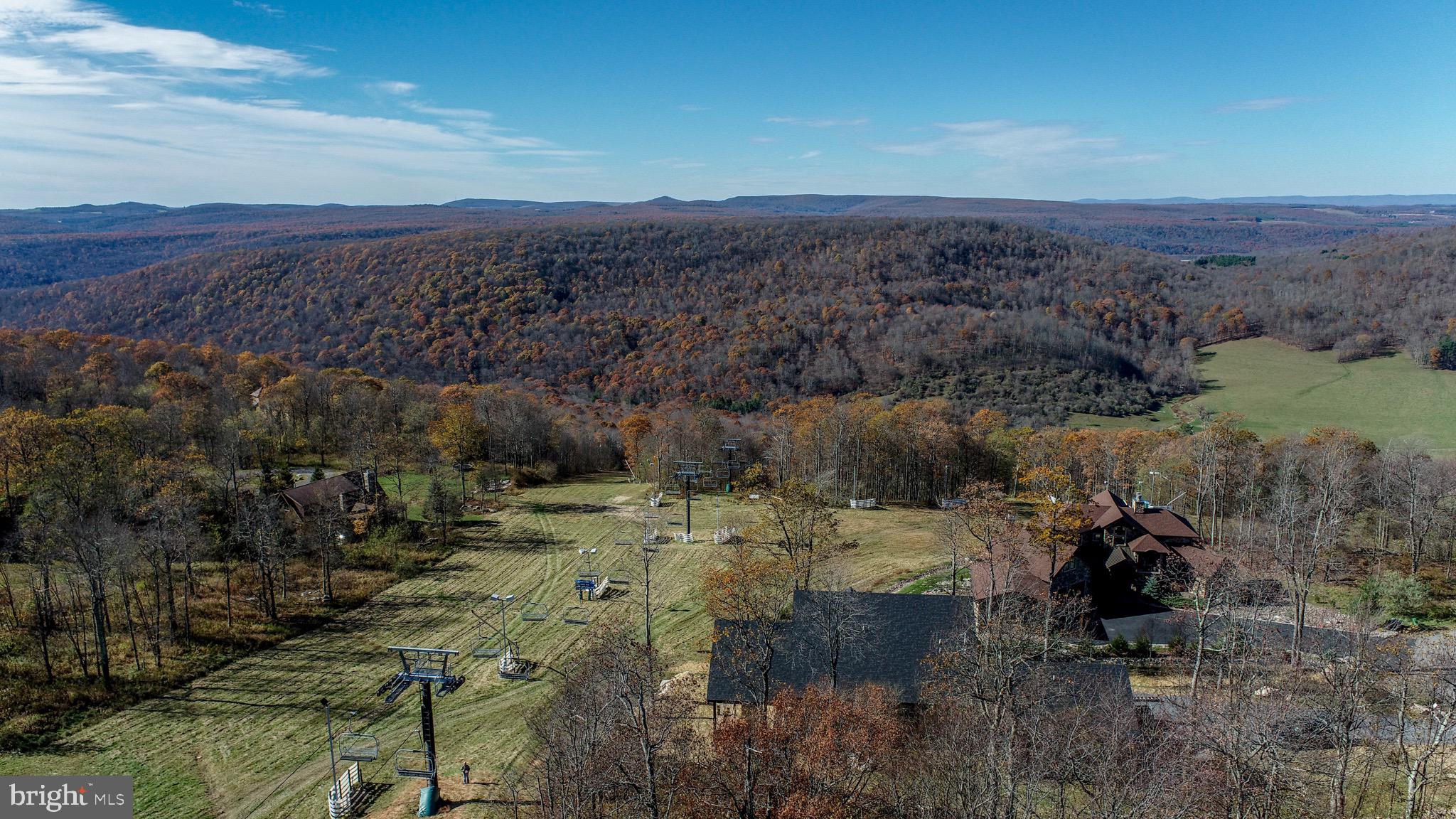 353 Lower Camp Road McHenry, MD 21541 - Photo 65 of 67 a view of a yard with wooden floor and mountain view