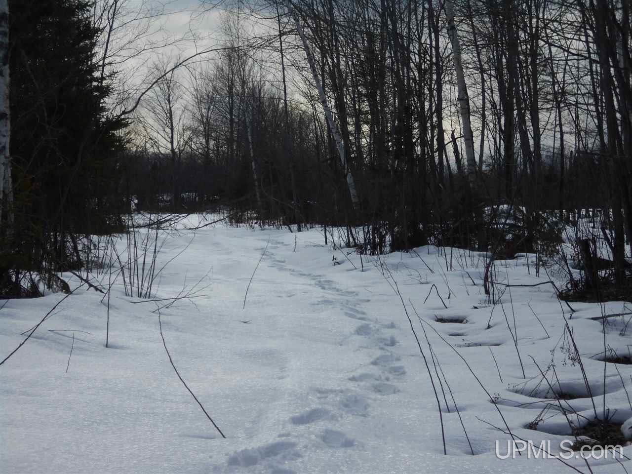 Tbd Tapiola Road Chassell, MI 49916 - Photo 7 of 14
