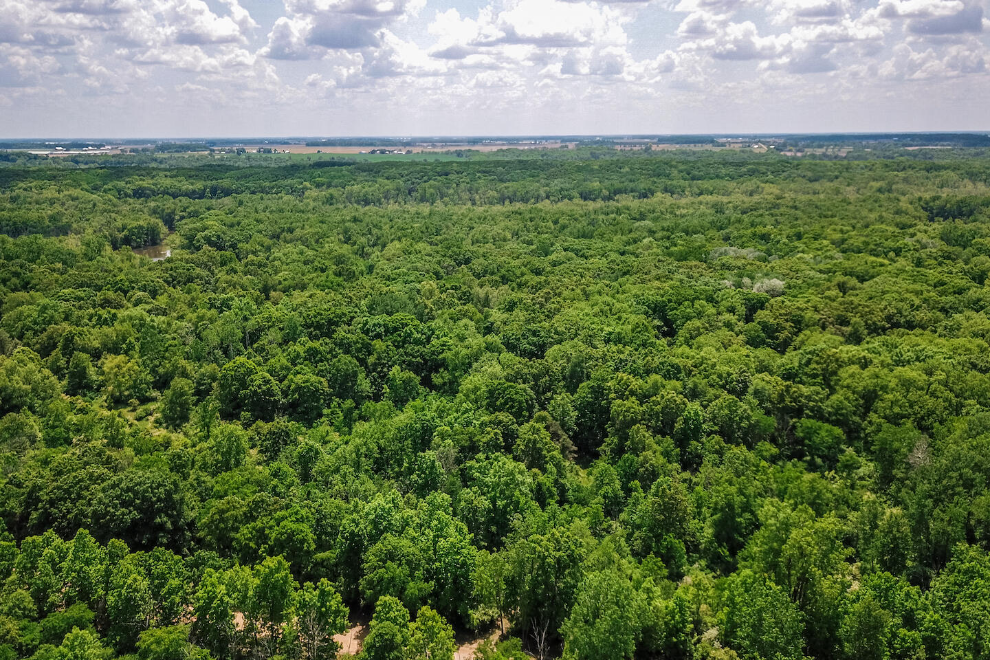 V/l West Island Road Fowler, MI 48835 - Photo 28 of 30 DJI_0049
