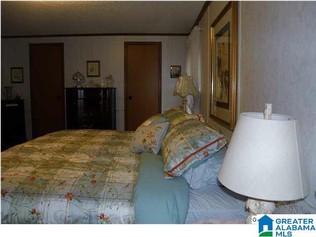 1499 Ray Wyatt Road Ashville, AL 35953 - Photo 21 of 29