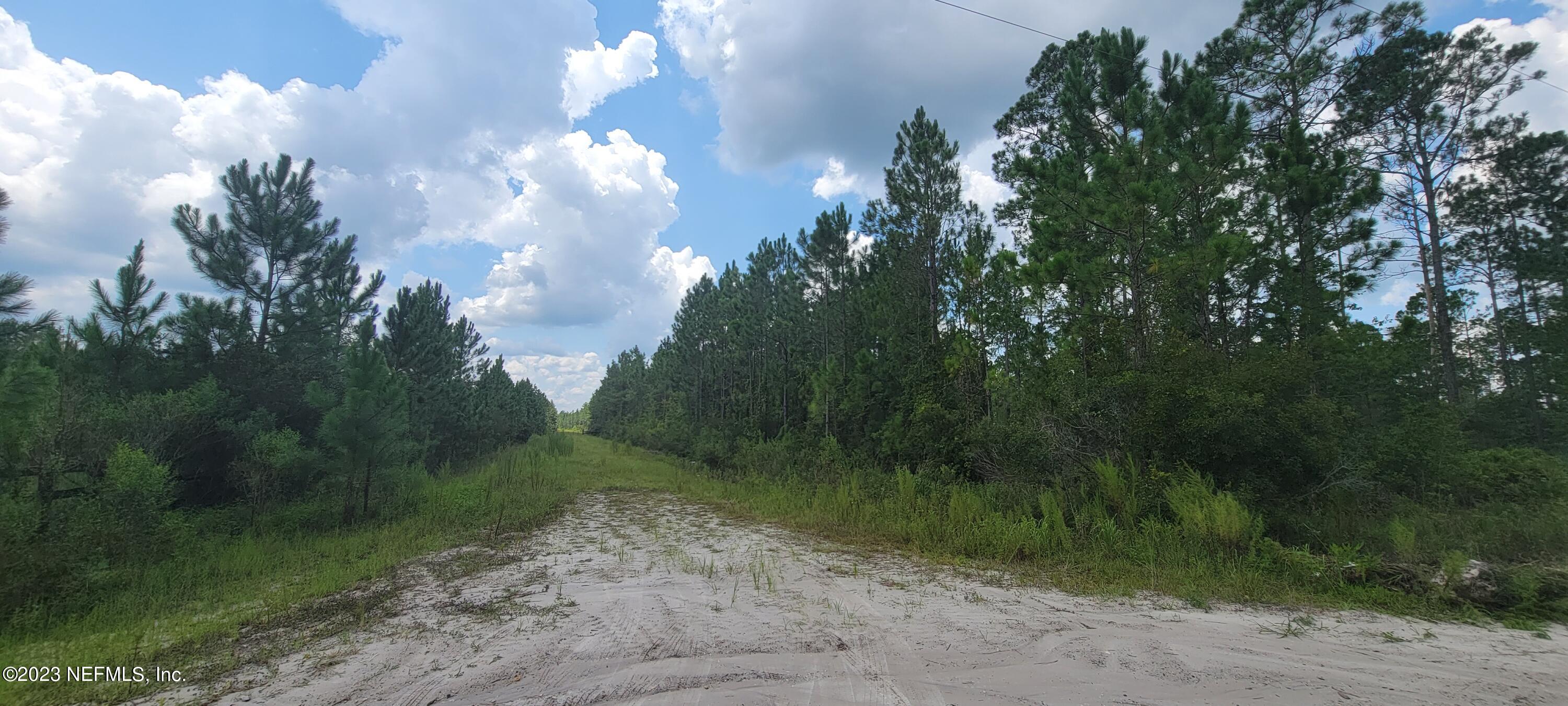 0 King Ruise Road Glen St. Mary, FL 32040 - Photo 15 of 17 20230802_130351
