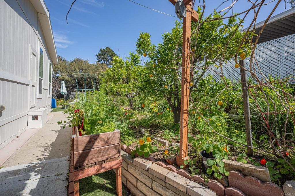 4650 Dulin Road, Unit 137 Fallbrook, CA 92003 - Photo 29 of 54 a backyard of a house with lots of green space