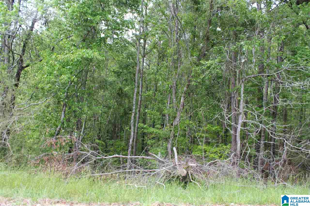 0 County Road 38 Jemison, AL 35085 - Photo 6 of 13