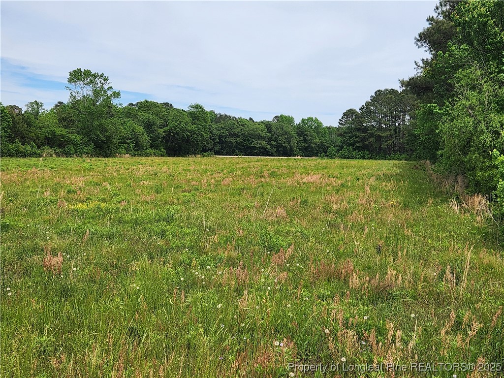 Old Allenton Road Lumberton, NC 28358 - Photo 1 of 12 Gallery Image 1
