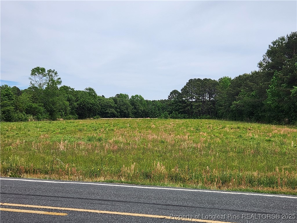 Old Allenton Road Lumberton, NC 28358 - Photo 2 of 12 Gallery Image 2