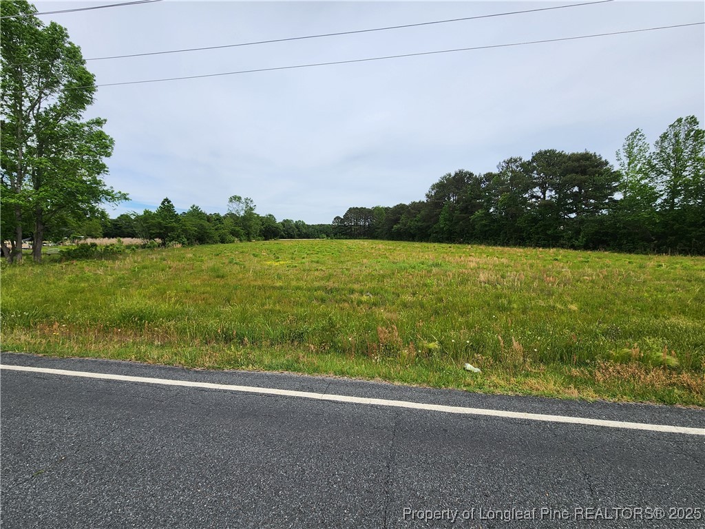 Old Allenton Road Lumberton, NC 28358 - Photo 3 of 12 Gallery Image 3