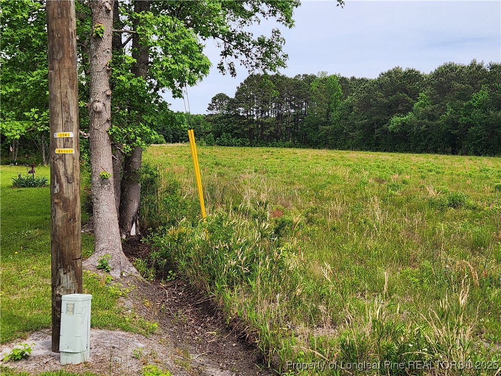 Old Allenton Road Lumberton, NC 28358 - Photo 4 of 12 Gallery Image 4