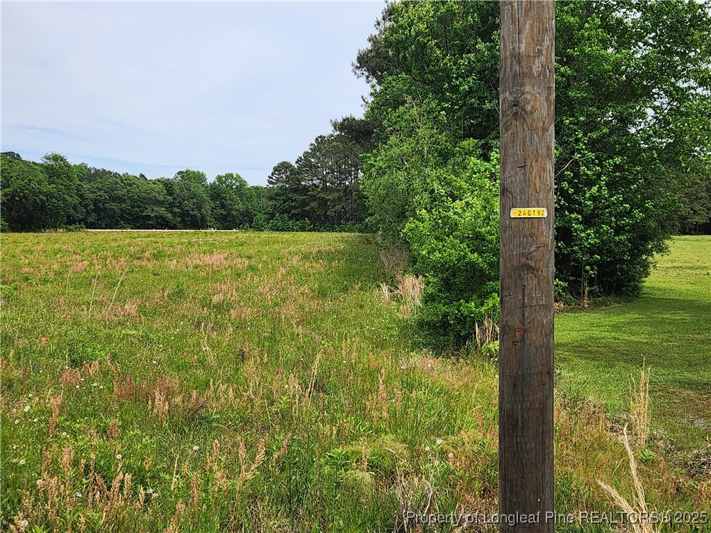 Old Allenton Road Lumberton, NC 28358 - Photo 6 of 12 Gallery Image 6