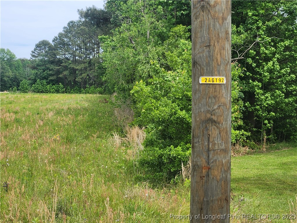 Old Allenton Road Lumberton, NC 28358 - Photo 7 of 12 Gallery Image 7