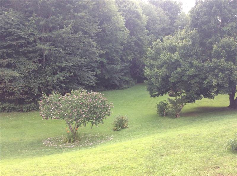 2615 Highway 286 Indiana, PA 15701 - Photo 12 of 15