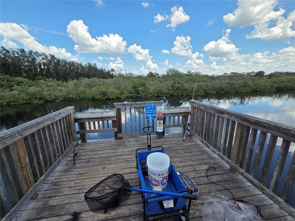 4645 Irene Loop New Port Richey, FL 34652 - Photo 34 of 55