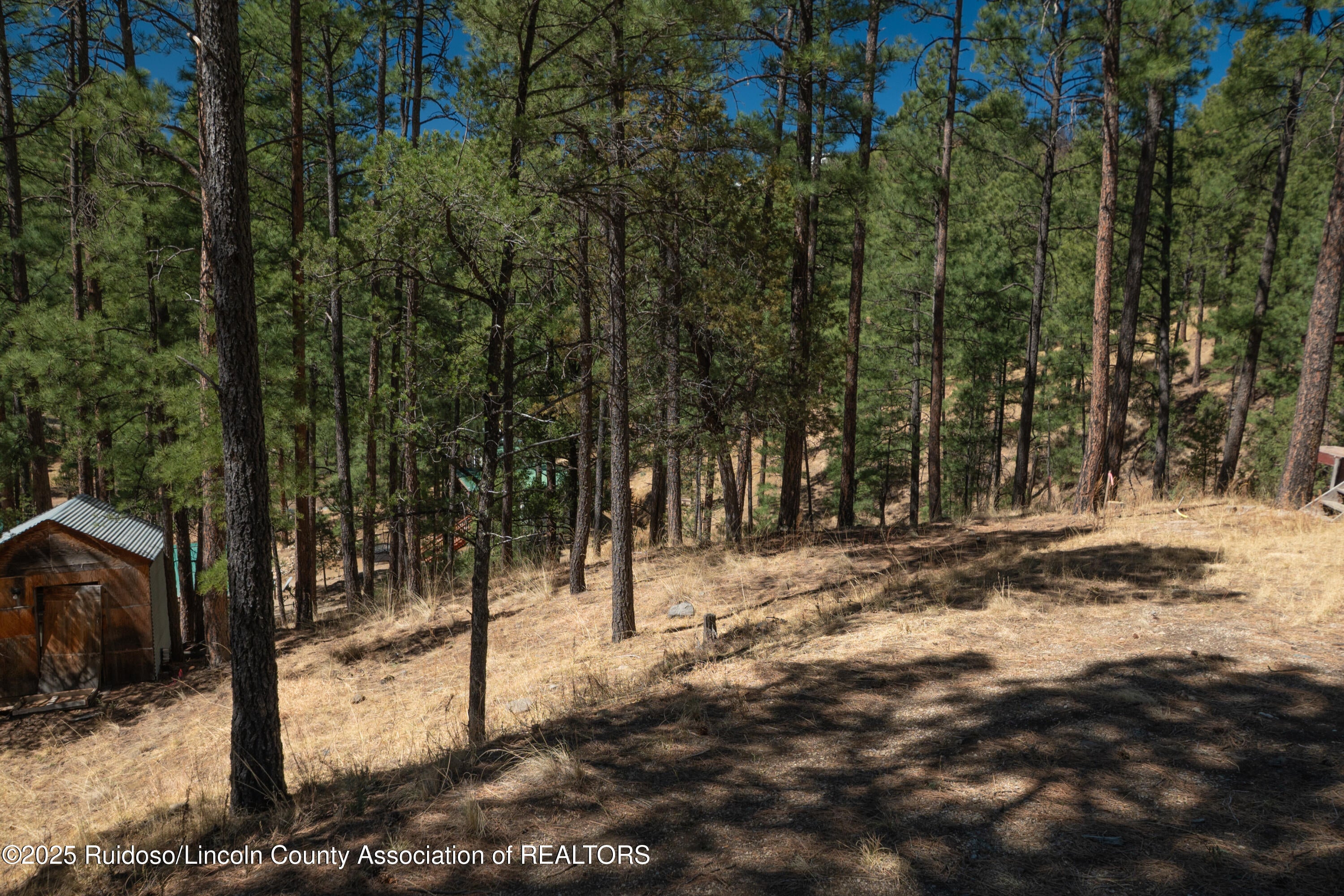114 Ash Drive Ruidoso, NM 88345 - Photo 1 of 1 DSC_5997