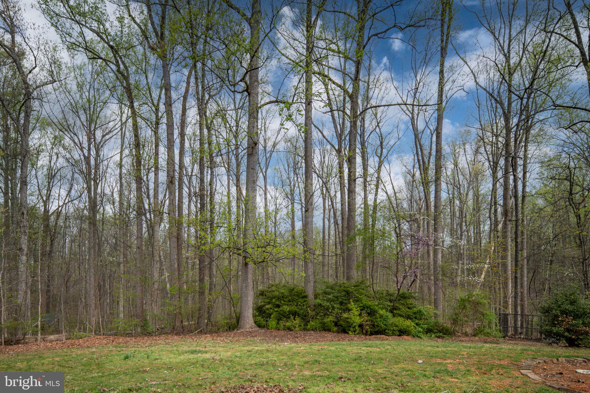 60 Richards Ferry Road Fredericksburg, VA 22406 - Photo 33 of 41 What a view....