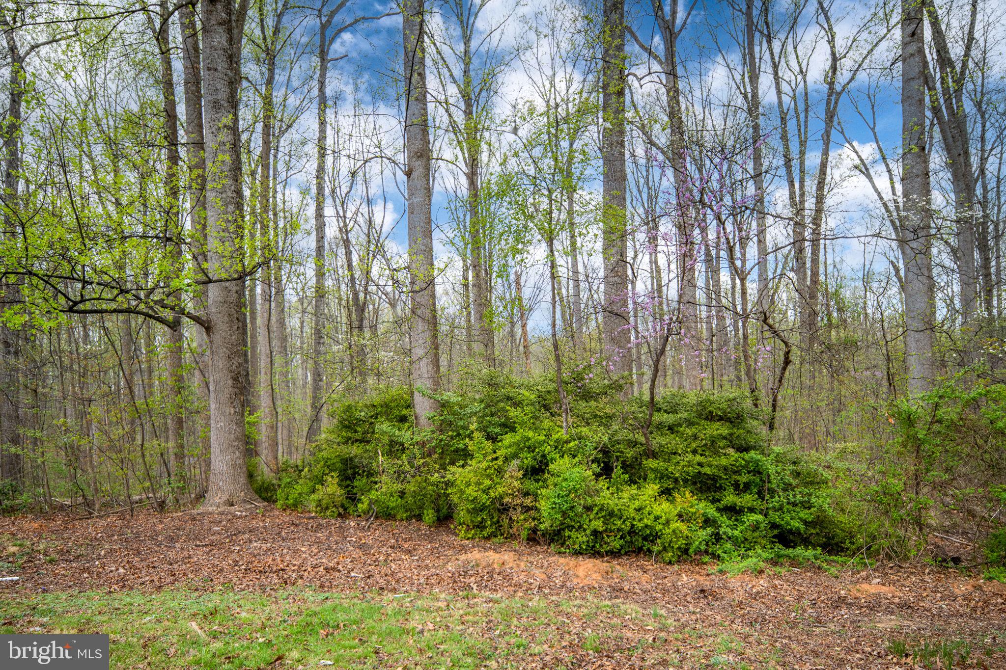 60 Richards Ferry Road Fredericksburg, VA 22406 - Photo 34 of 41 Private rear yard
