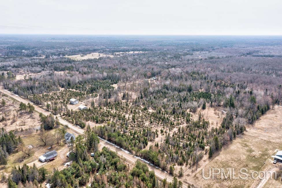 14281 Evergreen Road Rock, MI 49880 - Photo 51 of 78