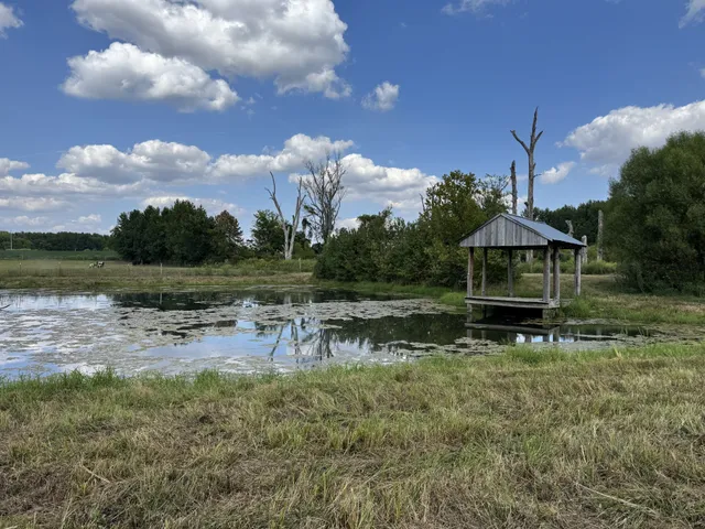 a view of a lake with a yard