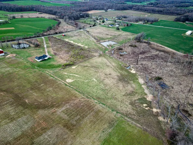 a view of a park with large trees