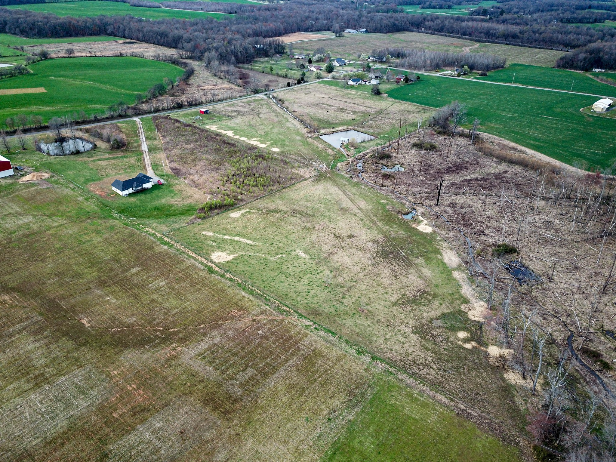 0 Chester Road Cedar Hill, TN 37032 - Photo 11 of 17 a view of a park with large trees