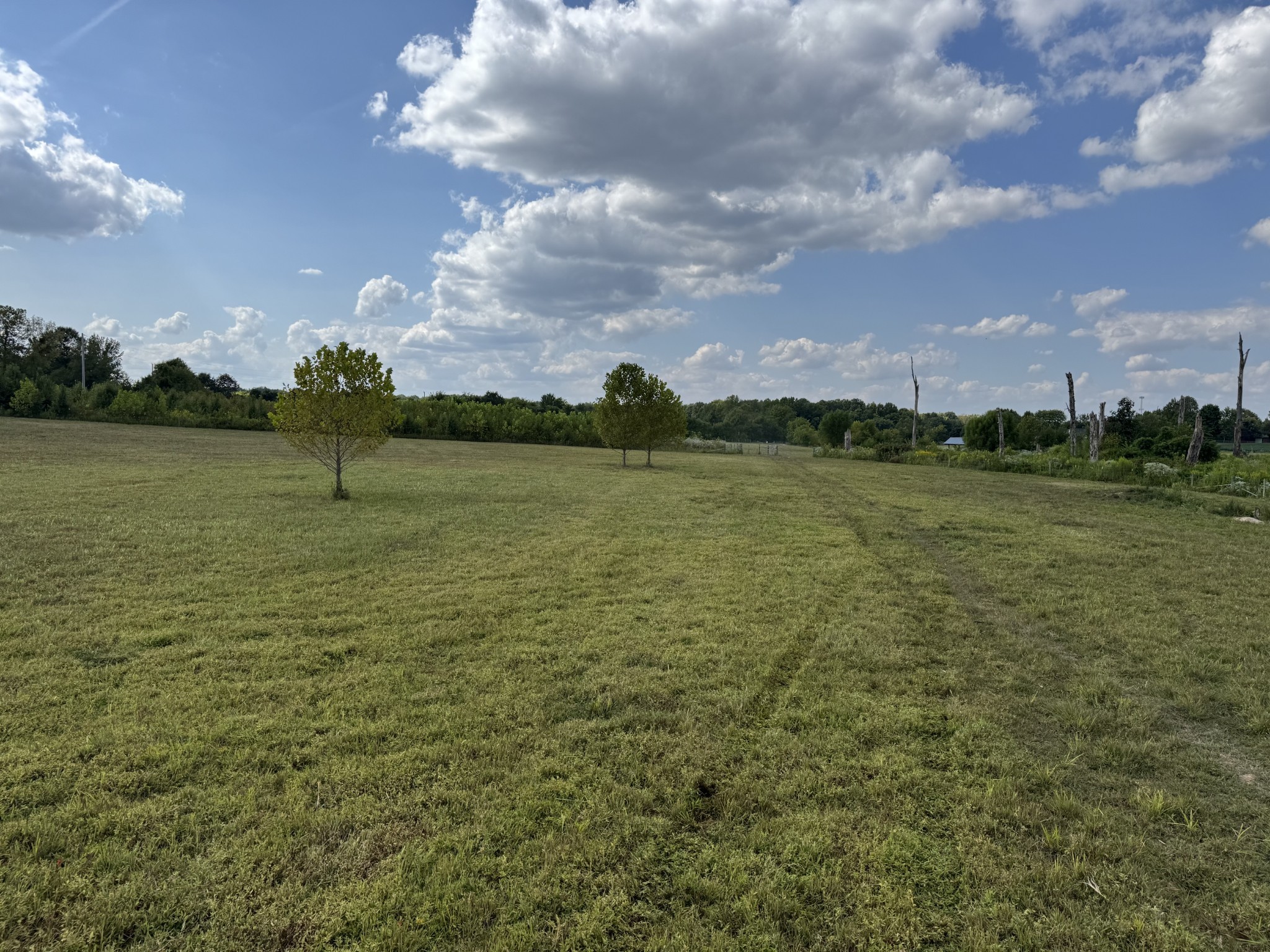 0 Chester Road Cedar Hill, TN 37032 - Photo 16 of 17 a view of a lake with houses in the back