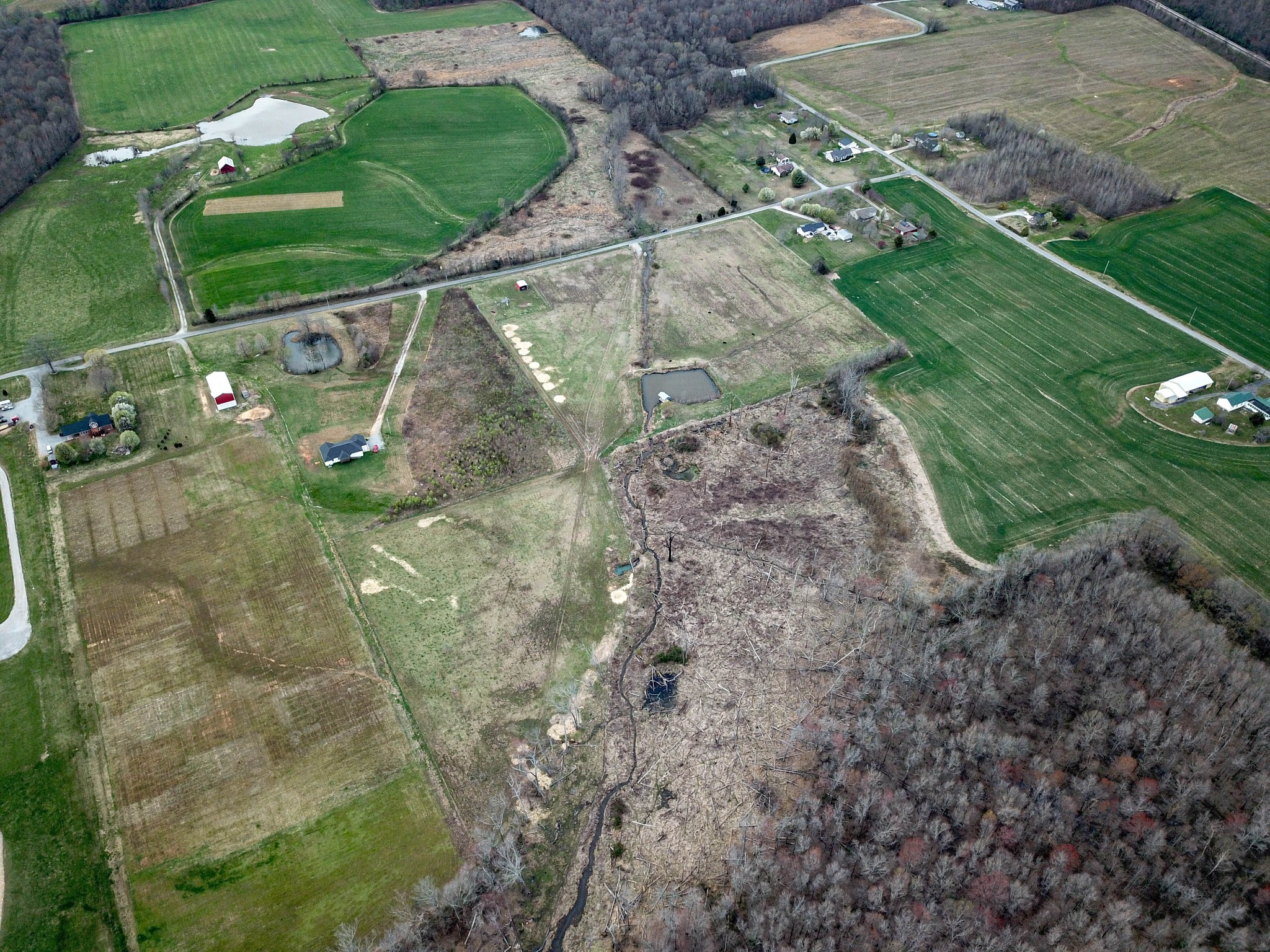 0 Chester Road Cedar Hill, TN 37032 - Photo 7 of 17 a view of a yard