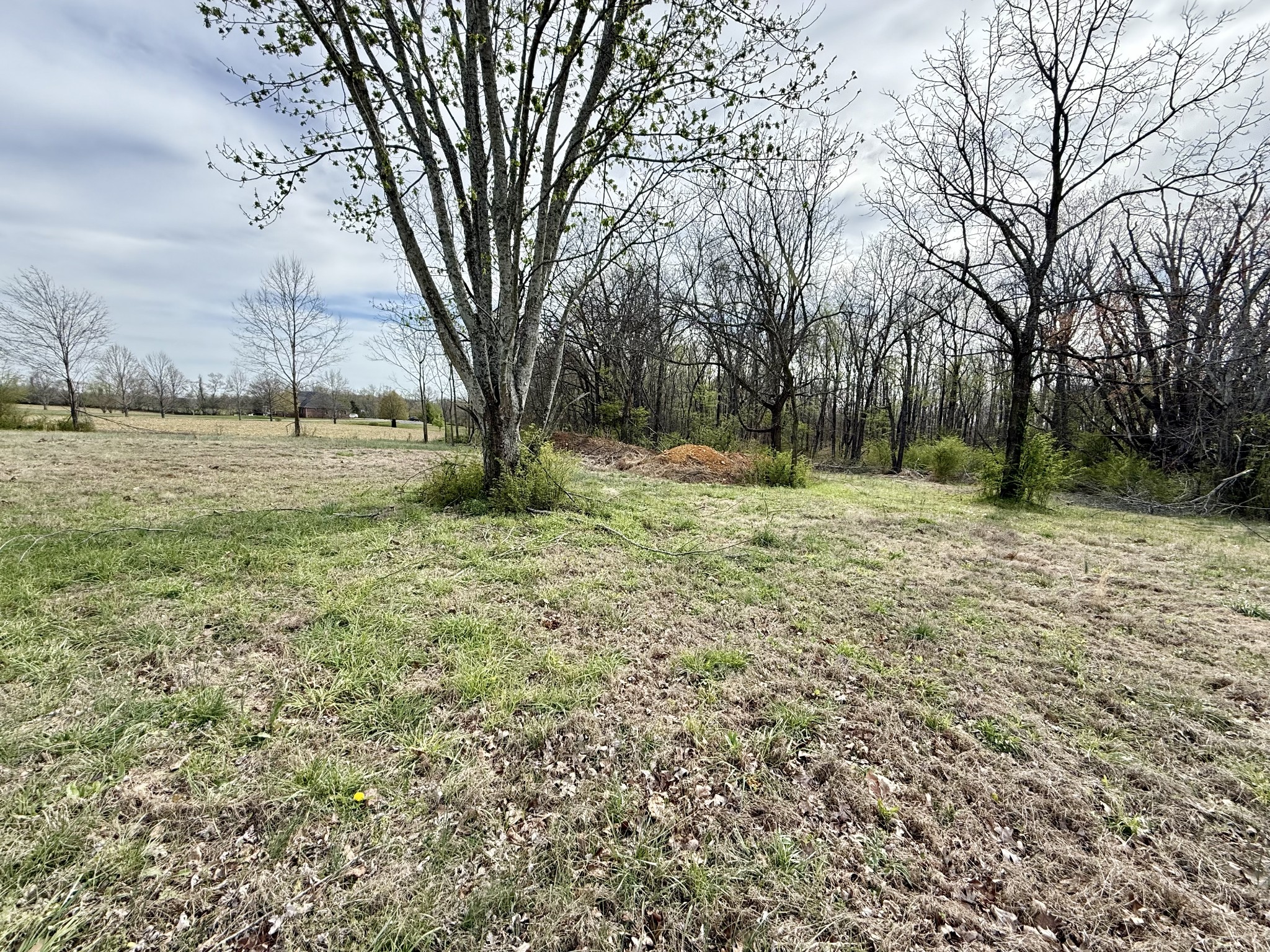 77 Macedonia Road Lawrenceburg, TN 38464 - Photo 18 of 26