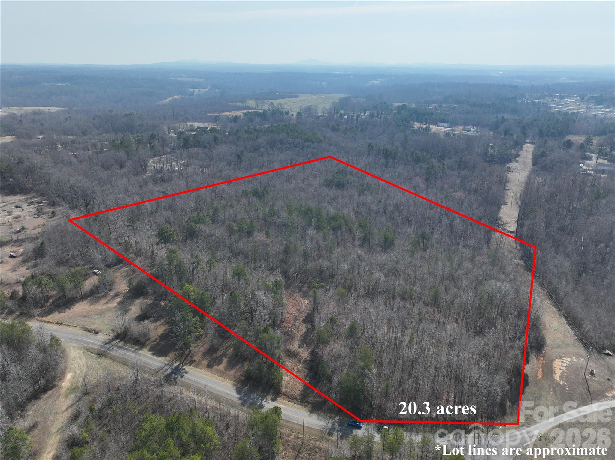a view of a dry yard with large trees