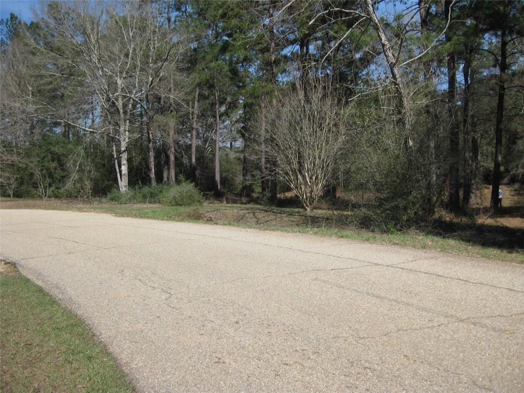 62170 Chappepeela Ridge Road Amite, LA 70422 - Photo 2 of 6 Gallery Image 2
