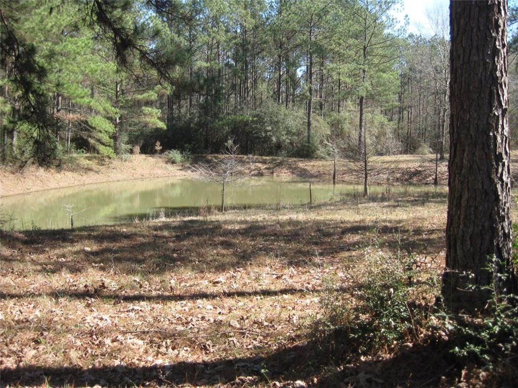 62170 Chappepeela Ridge Road Amite, LA 70422 - Photo 3 of 6 Gallery Image 3