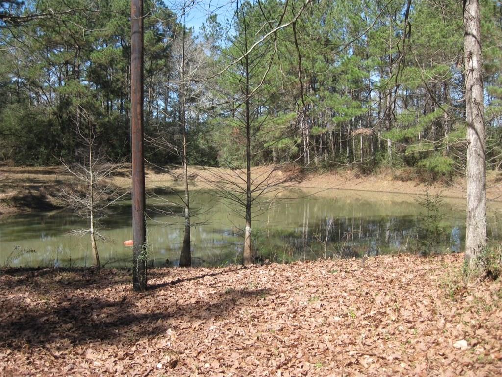 62170 Chappepeela Ridge Road Amite, LA 70422 - Photo 4 of 6 Gallery Image 4