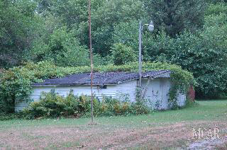 13117 Todd Road Ida, MI 48140 - Photo 20 of 20 949495-19.JPG