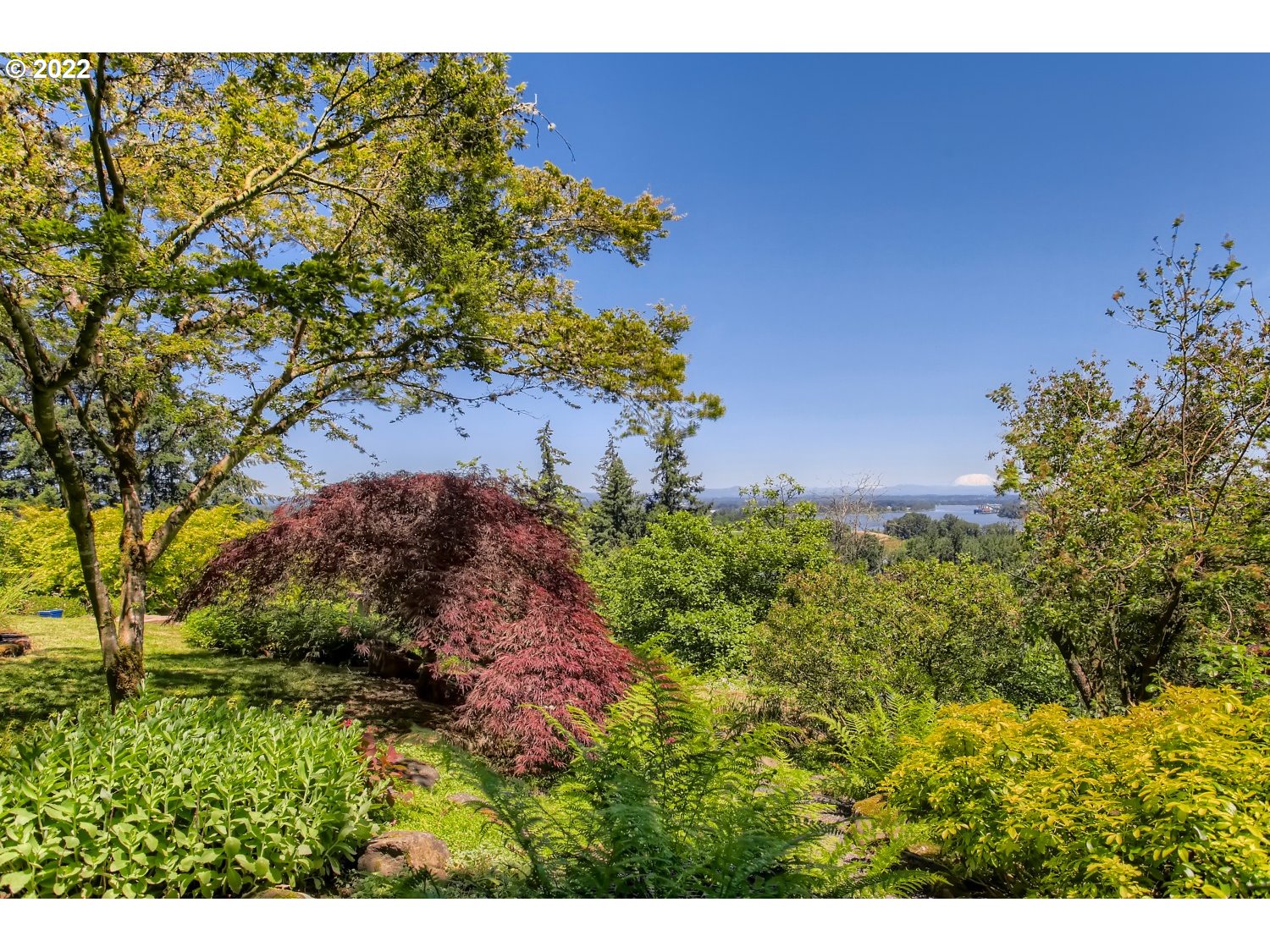 12419 Northwest Creston Road Portland, OR 97231 - Photo 27 of 32 Yard