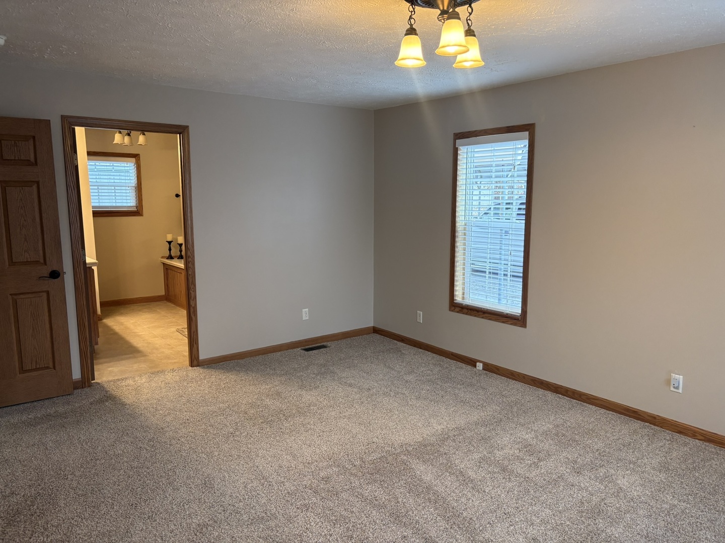 13822 Cutler Street Benton, IL 62812 - Photo 21 of 31