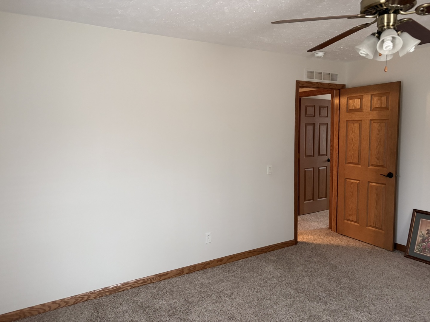 13822 Cutler Street Benton, IL 62812 - Photo 30 of 31