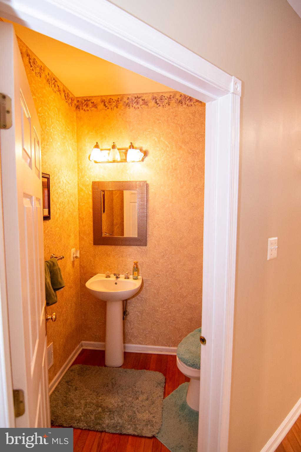 1410 Merlin Circle Audubon, PA 19403 - Photo 18 of 28 Bathroom