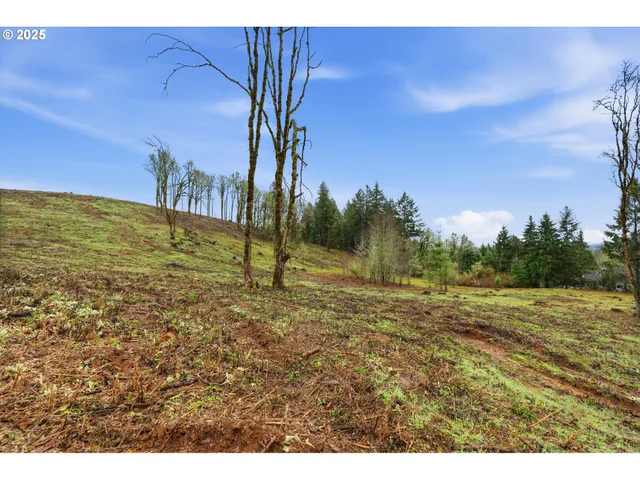 $425,000 | 0 Northwest Berry Creek Road, Unit PAR 1, McMinnville, OR 97128