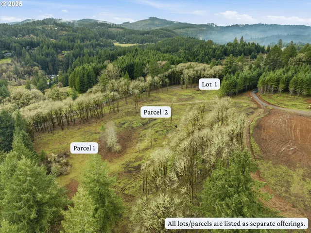 a view of a city with mountain