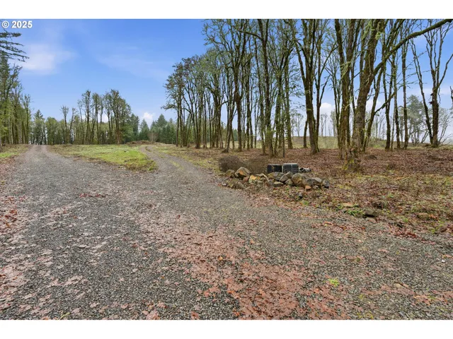 a view of outdoor space with trees