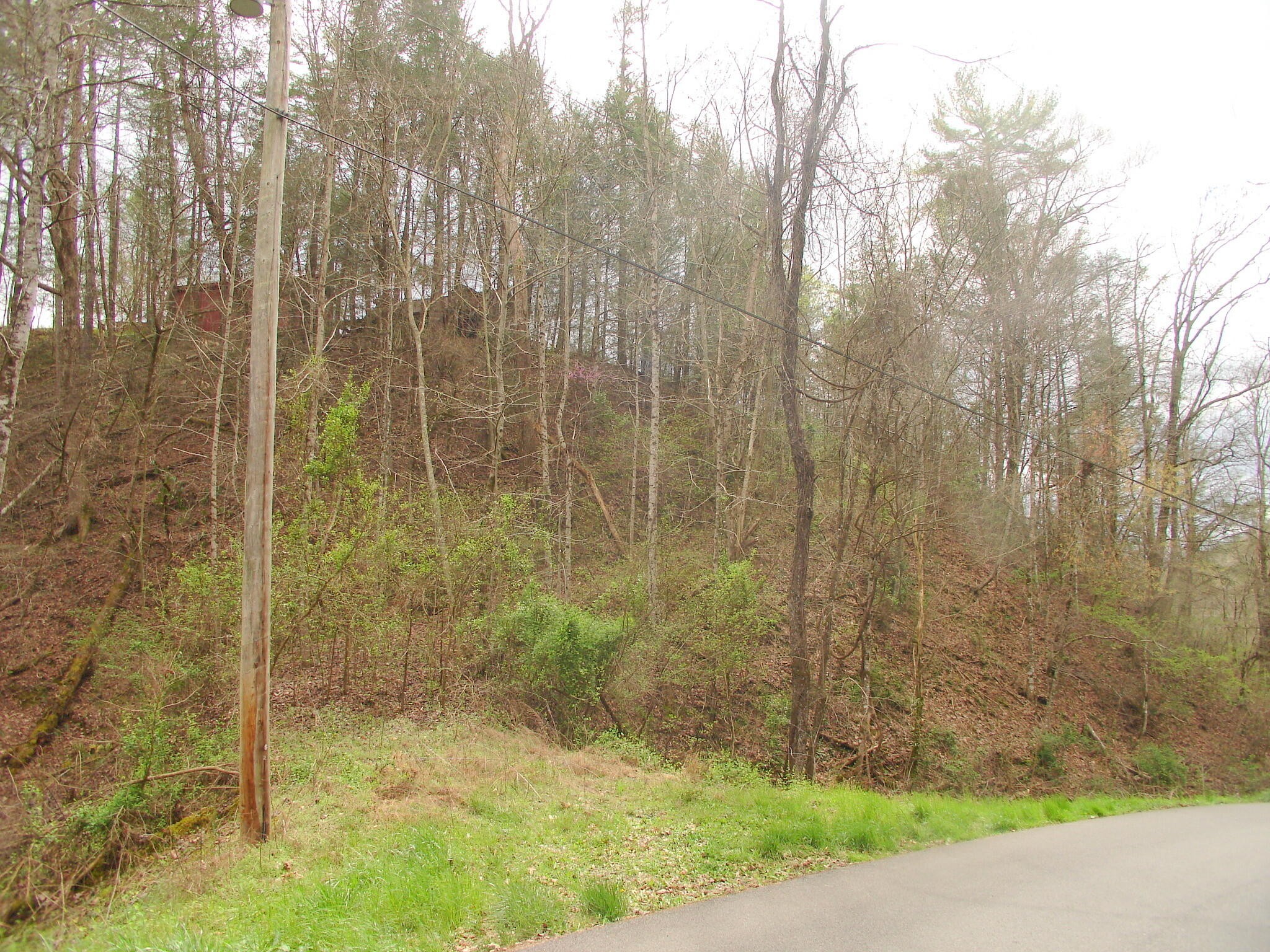 1 Jones Cove Road Sevierville, TN 37876 - Photo 2 of 12