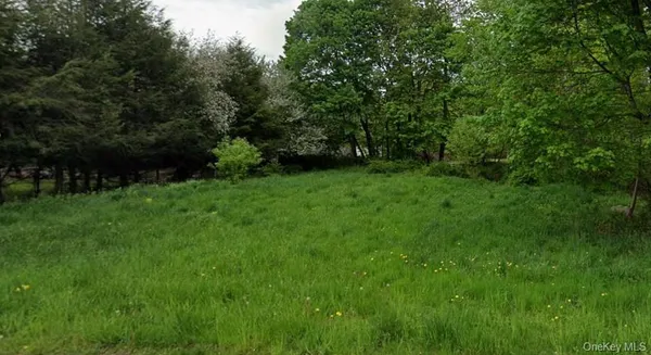a view of an outdoor space and a yard